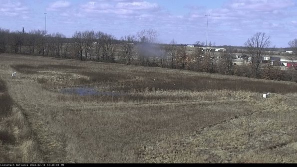 Cell 2_24-02-14_12-48-10-00