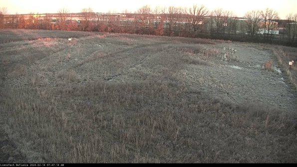 Cell 3_24-02-14_07-47-14-92