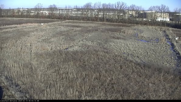 Cell 3_24-02-14_08-54-13-94