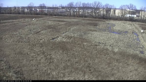 Cell 3_24-02-14_14-29-06-17