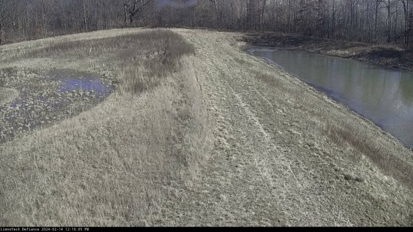 Cell 4 to Basin_24-02-14_12-16-05-93