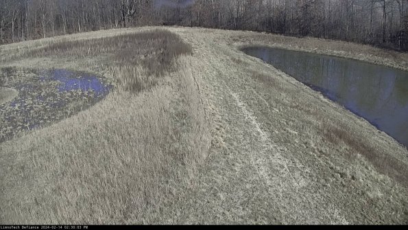 Cell 4 to Basin_24-02-14_14-30-03-93