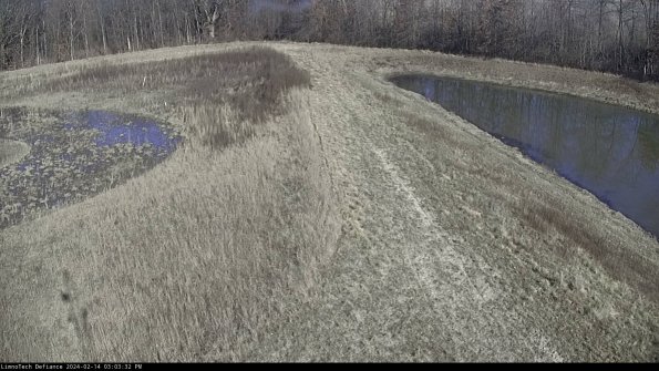 Cell 4 to Basin_24-02-14_15-03-32-92