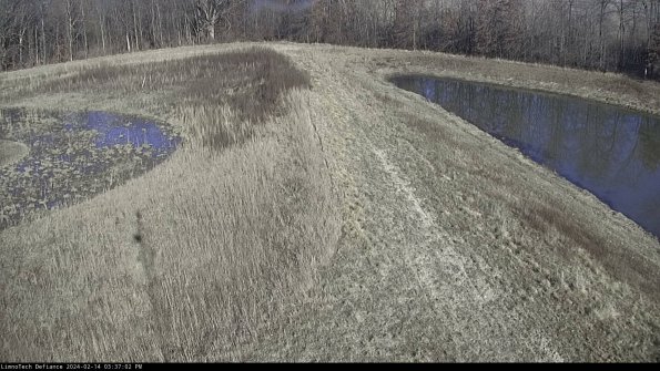 Cell 4 to Basin_24-02-14_15-37-02-93