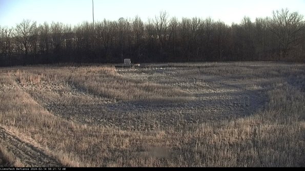 Cell 4_24-02-14_08-21-12-92