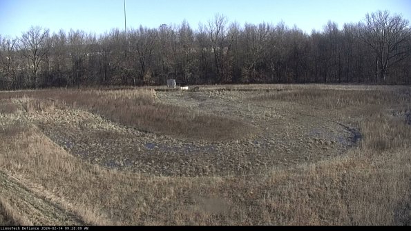 Cell 4_24-02-14_09-28-09-95