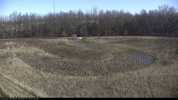 Cell 4_24-02-14_10-01-38-93