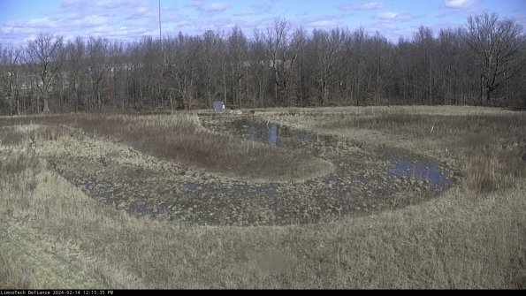 Cell 4_24-02-14_12-15-35-94