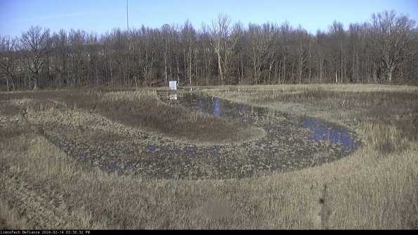 Cell 4_24-02-14_15-36-32-94