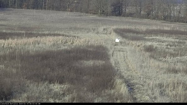 Cell 1 to 2_24-02-19_08-53-50-94