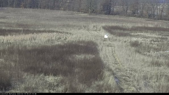 Cell 1 to 2_24-02-19_09-27-19-92