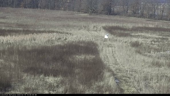 Cell 1 to 2_24-02-19_10-00-48-93