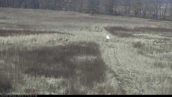 Cell 1 to 2_24-02-19_10-34-17-92