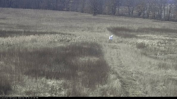 Cell 1 to 2_24-02-19_13-21-44-93