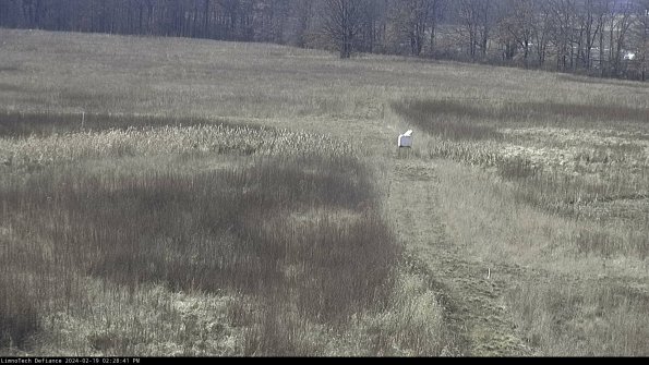 Cell 1 to 2_24-02-19_14-28-41-93