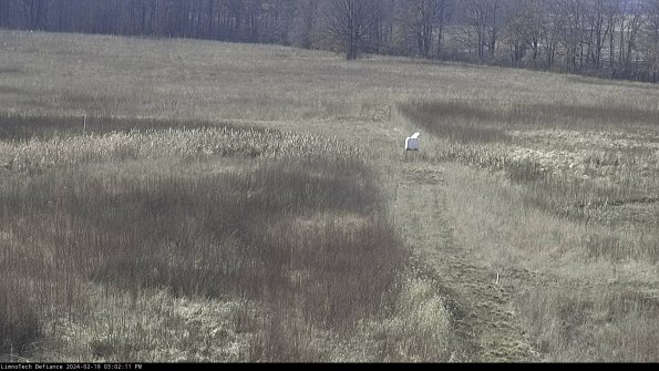 Cell 1 to 2_24-02-19_15-02-11-95