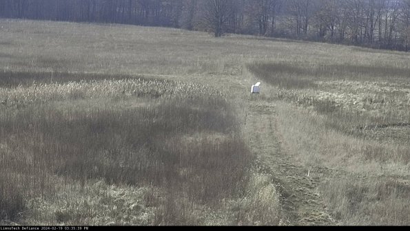 Cell 1 to 2_24-02-19_15-35-39-93