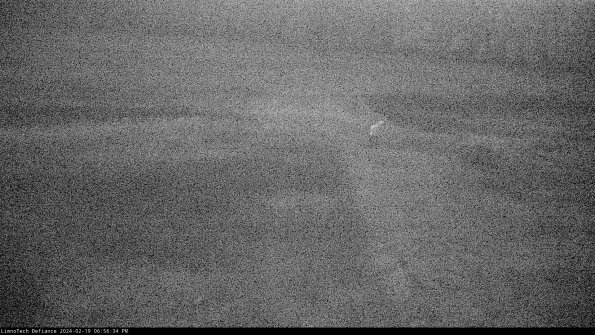 Cell 1 to 2_24-02-19_18-56-34-93