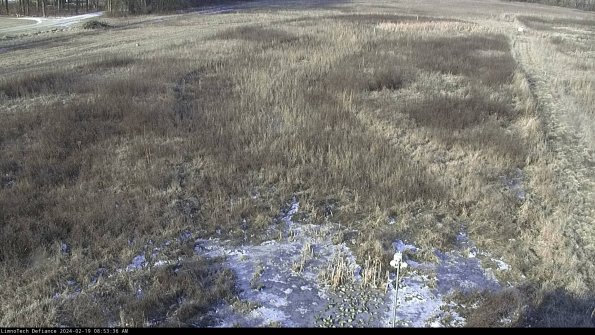 Cell 1_24-02-19_08-53-36-96