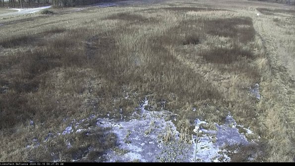 Cell 1_24-02-19_09-27-05-94