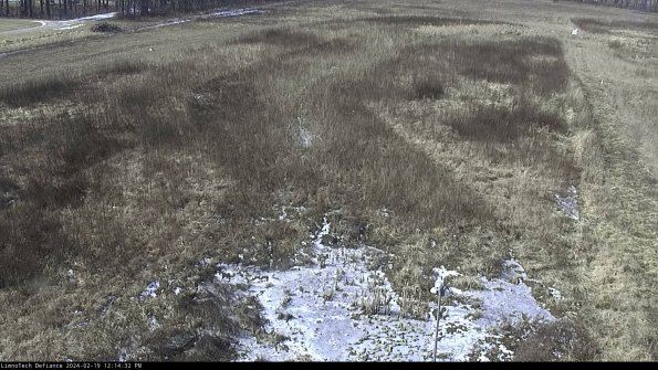 Cell 1_24-02-19_12-14-32-92