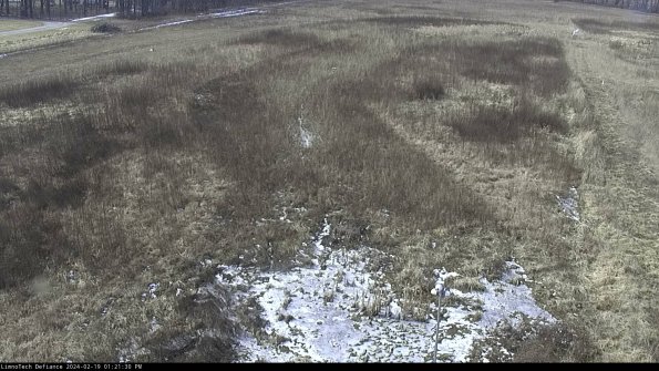 Cell 1_24-02-19_13-21-30-91