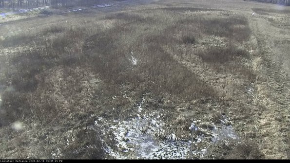 Cell 1_24-02-19_15-35-25-95