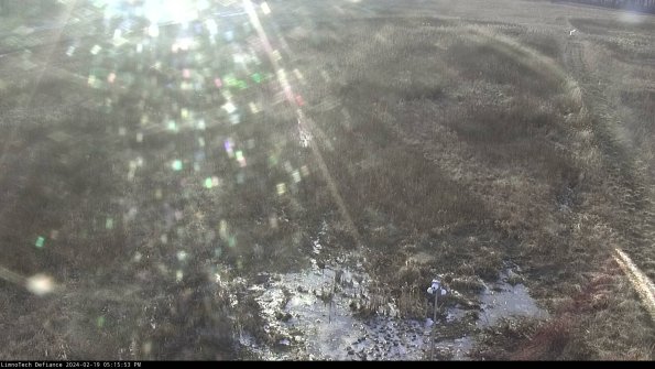 Cell 1_24-02-19_17-15-53-94