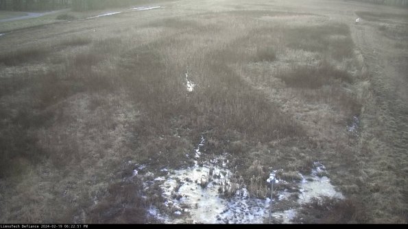 Cell 1_24-02-19_18-22-51-93