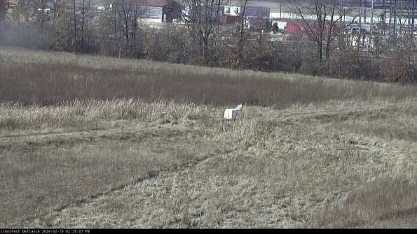 Cell 2 to 3_24-02-19_14-29-08-09