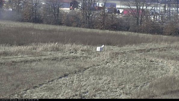 Cell 2 to 3_24-02-19_15-02-37-97