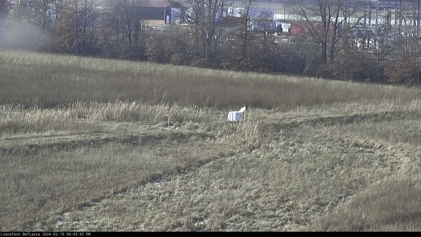 Cell 2 to 3_24-02-19_16-43-04-03