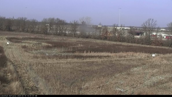 Cell 2_24-02-19_10-01-01-98