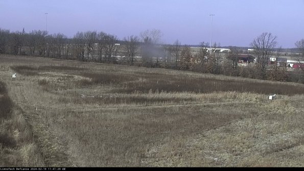 Cell 2_24-02-19_11-41-29-93