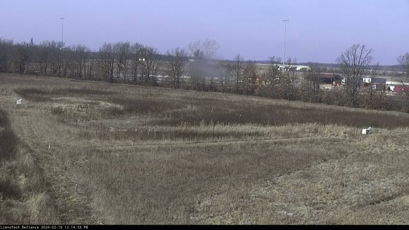 Cell 2_24-02-19_12-14-59-94