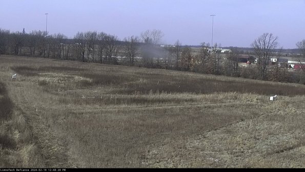 Cell 2_24-02-19_12-48-28-96