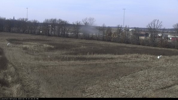 Cell 2_24-02-19_13-55-25-99