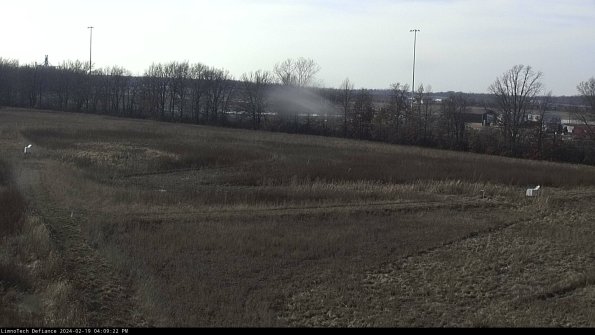 Cell 2_24-02-19_16-09-22-96