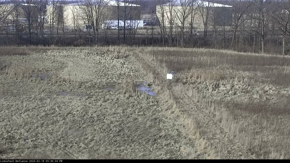 Cell 3 to 4_24-02-19_15-36-34-95