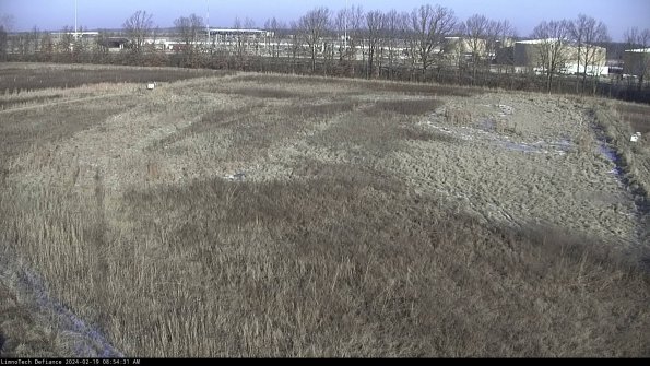 Cell 3_24-02-19_08-54-31-95