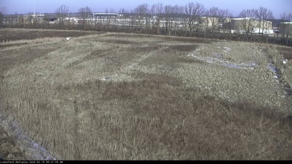 Cell 3_24-02-19_09-28-00-13