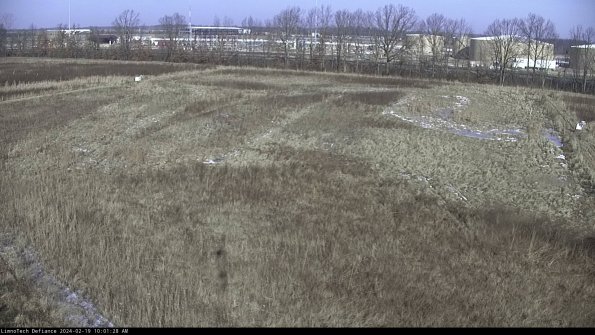 Cell 3_24-02-19_10-01-29-17