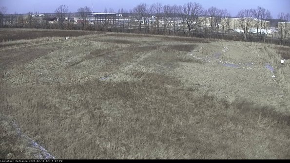 Cell 3_24-02-19_12-15-27-94