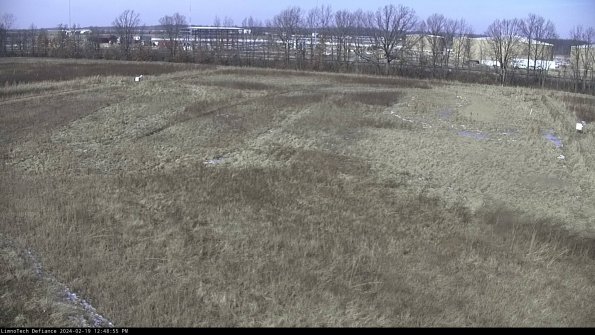 Cell 3_24-02-19_12-48-56-19