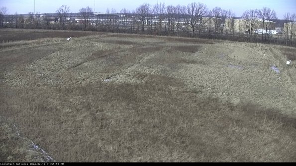 Cell 3_24-02-19_13-55-53-95