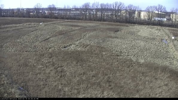 Cell 3_24-02-19_15-36-20-94