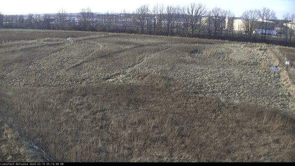 Cell 3_24-02-19_17-16-48-96