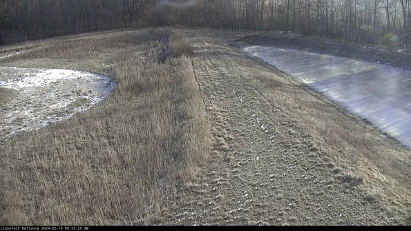 Cell 4 to Basin_24-02-19_08-55-29-94