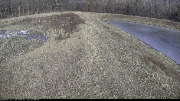 Cell 4 to Basin_24-02-19_15-37-18-96