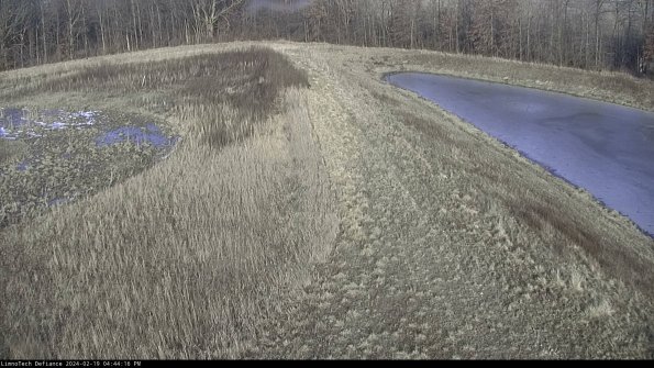 Cell 4 to Basin_24-02-19_16-44-16-97